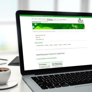 webdesign website gestaltung programmierung cms contao selbsthilfe kärnten klagenfurt villach